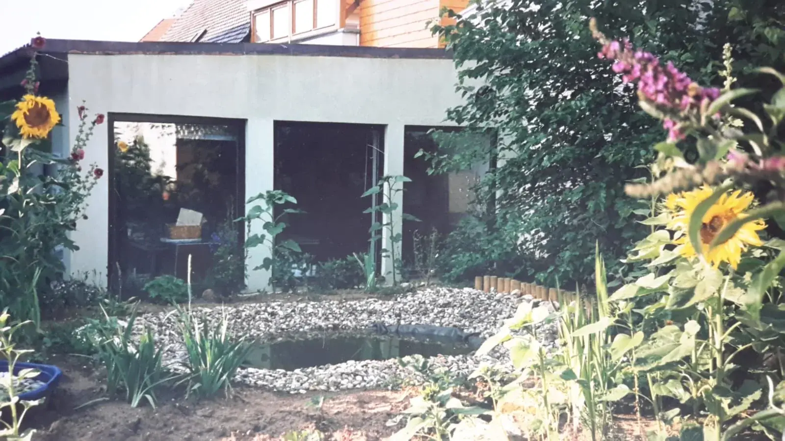 Flaches Atelierhaus mit großen Fenstern hinter einem Garten mit Sonnenblumen, Fingerhut und einem kleinen Teich